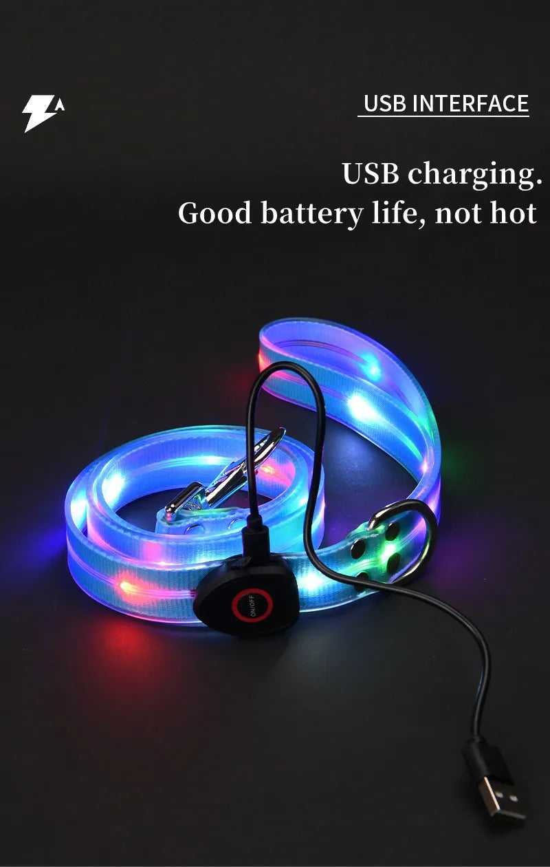 Ein Set aus leuchtenden Halsband und Leine mit einem aufladbaren USB Kabel