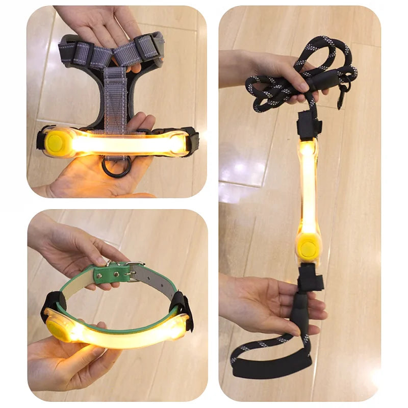 LED leuchtendes Halsband für Hunde
