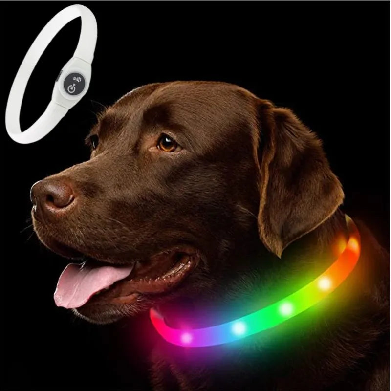 LED leuchtendes wasserdichtes Halsband für Hunde