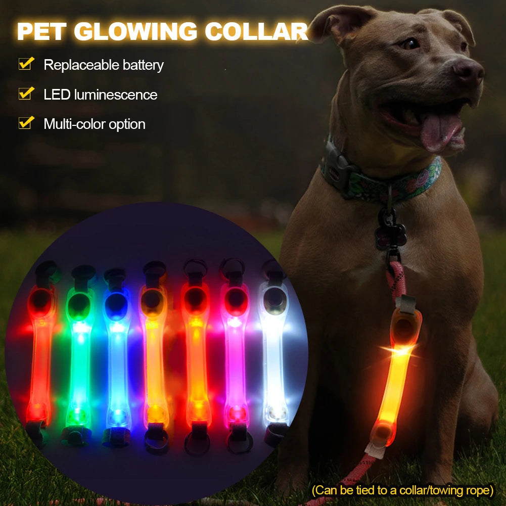 LED leuchtendes Halsband für Hunde