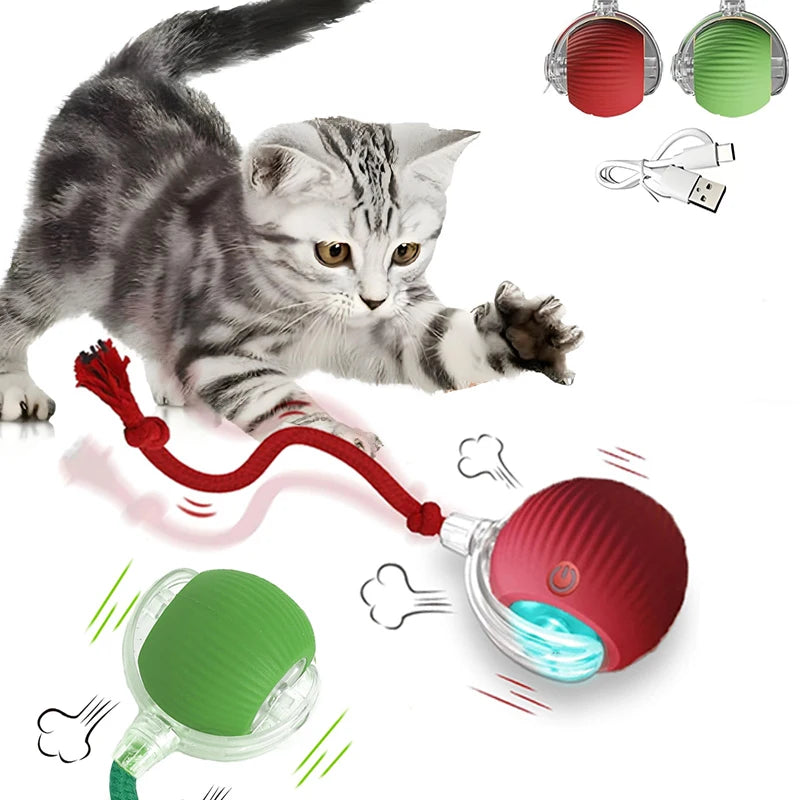 Interaktives Katzenspielzeug, automatisch rollender Ball wiederaufladbar mit USB