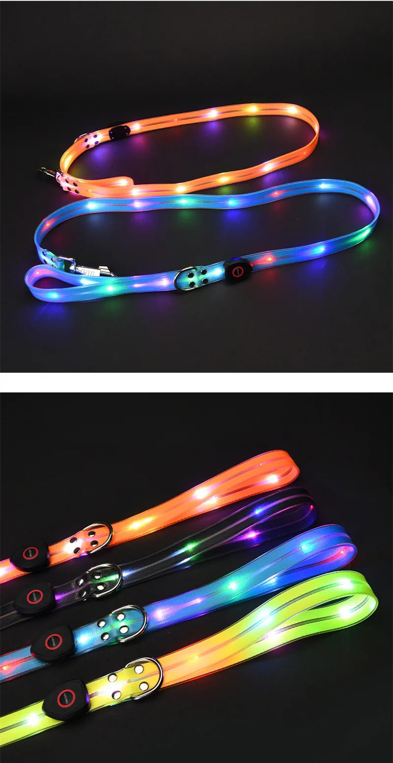 Ein Set aus leuchtenden Halsband und Leine mit einem aufladbaren USB Kabel