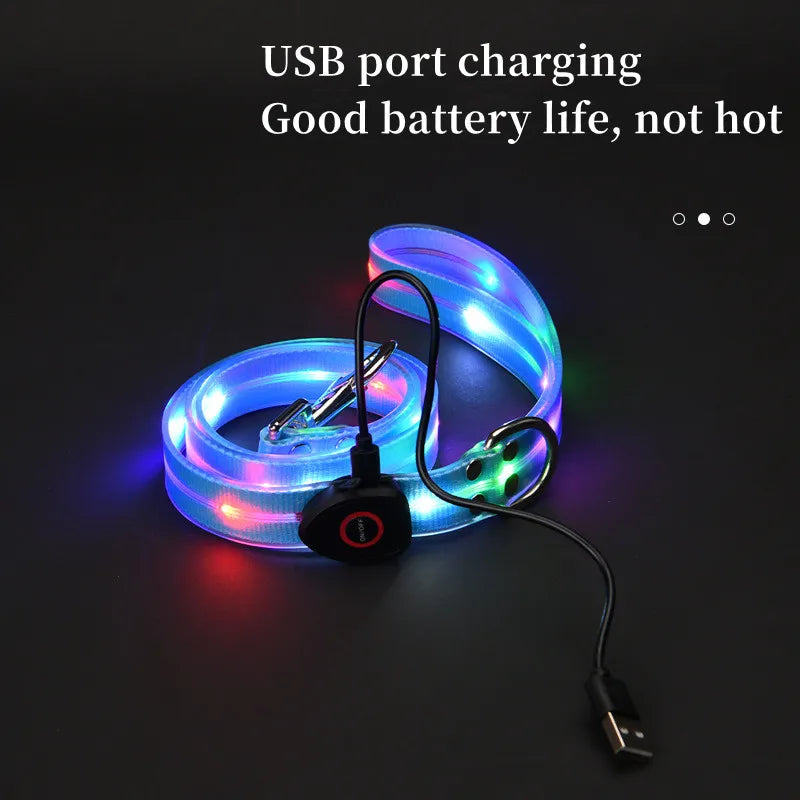 Ein Set aus leuchtenden Halsband und Leine mit einem aufladbaren USB Kabel