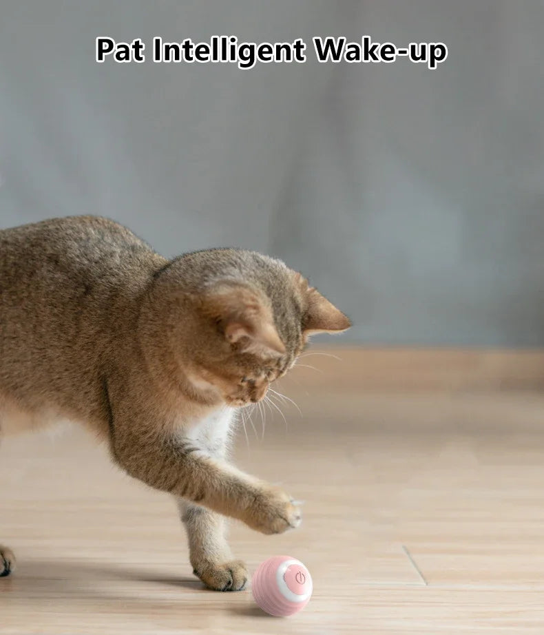 Spin Ball für Katzen Spielzeug elektrische interaktive USB-Aufladung