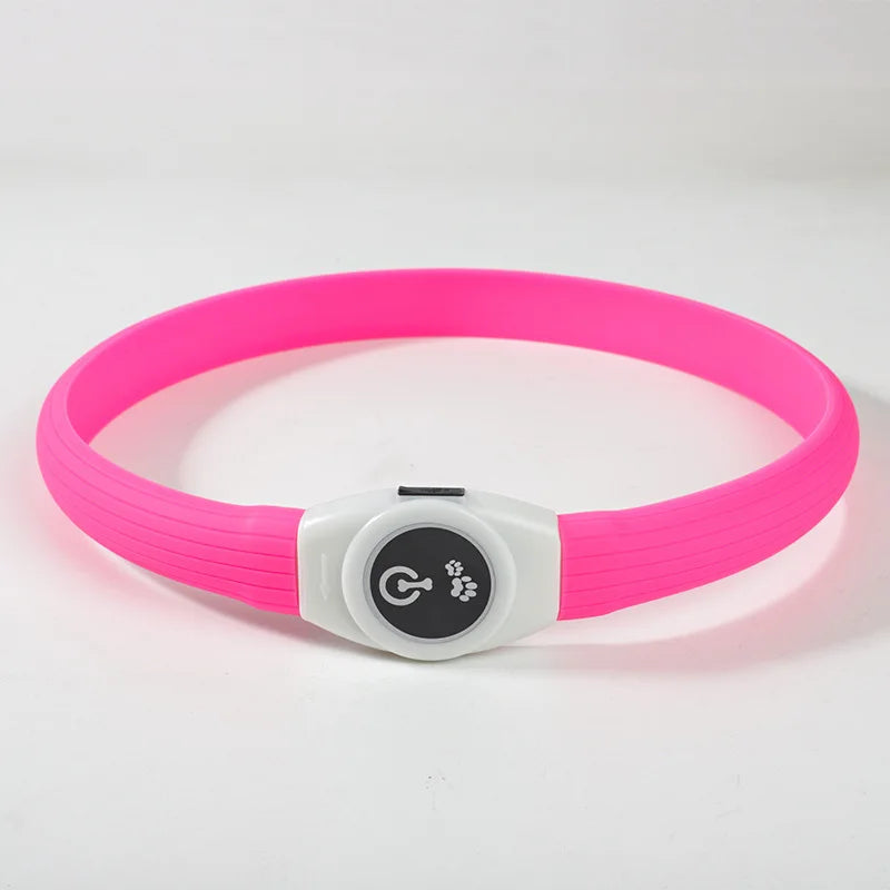 LED leuchtendes wasserdichtes Halsband für Hunde