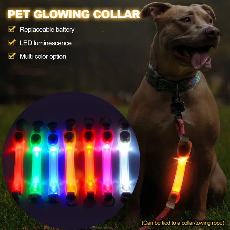 LED leuchtendes Halsband für Hunde