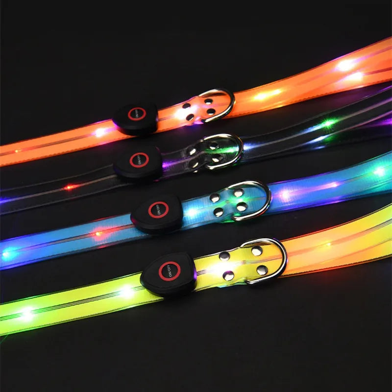 Ein Set aus leuchtenden Halsband und Leine mit einem aufladbaren USB Kabel