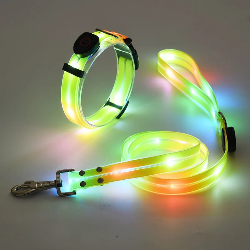 Ein Set aus leuchtenden Halsband und Leine mit einem aufladbaren USB Kabel