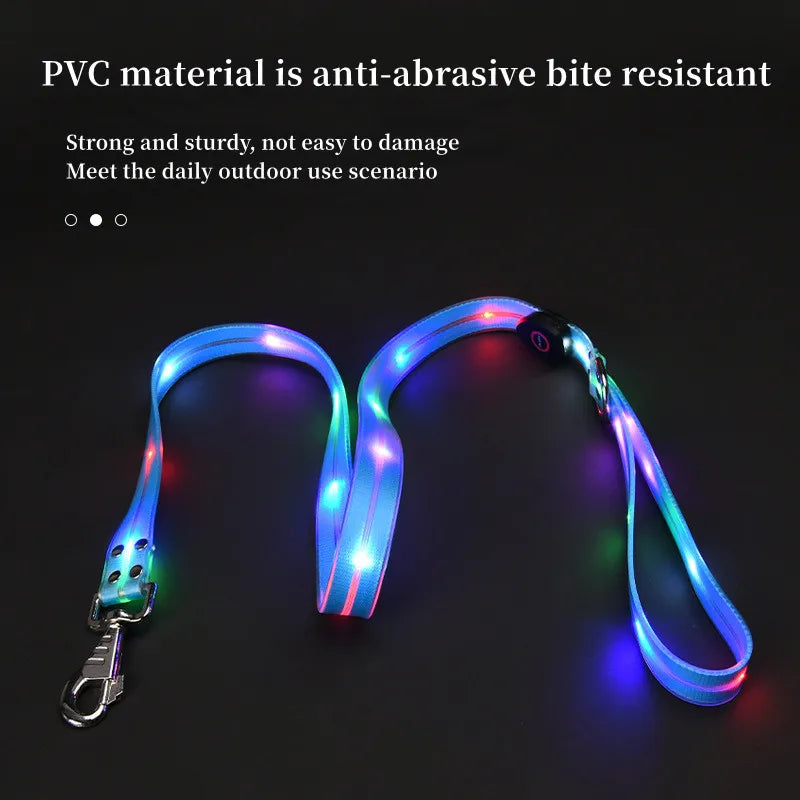 Ein Set aus leuchtenden Halsband und Leine mit einem aufladbaren USB Kabel