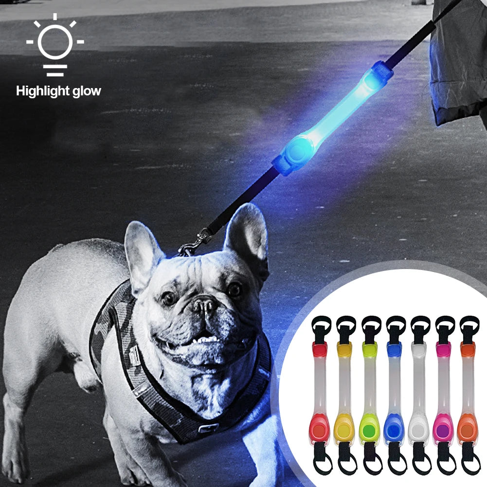 LED leuchtendes Halsband für Hunde