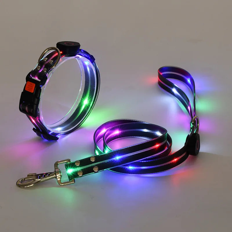 Ein Set aus leuchtenden Halsband und Leine mit einem aufladbaren USB Kabel