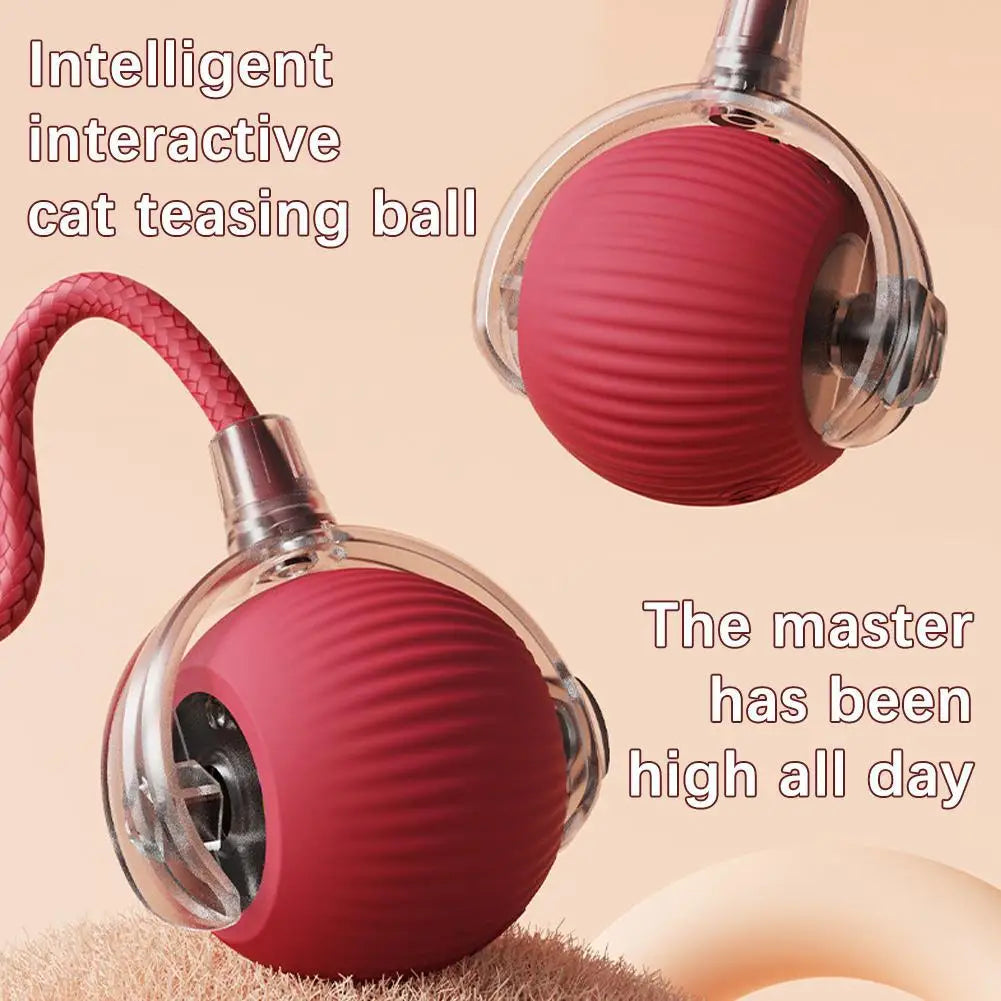 Interaktives Katzenspielzeug, automatisch rollender Ball wiederaufladbar mit USB