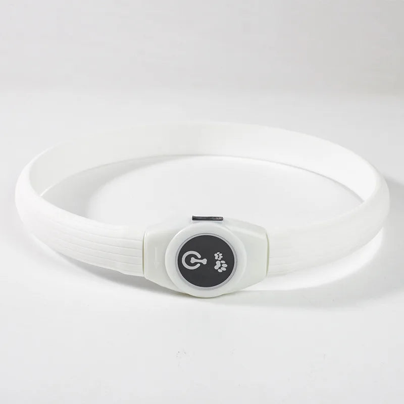 LED leuchtendes wasserdichtes Halsband für Hunde