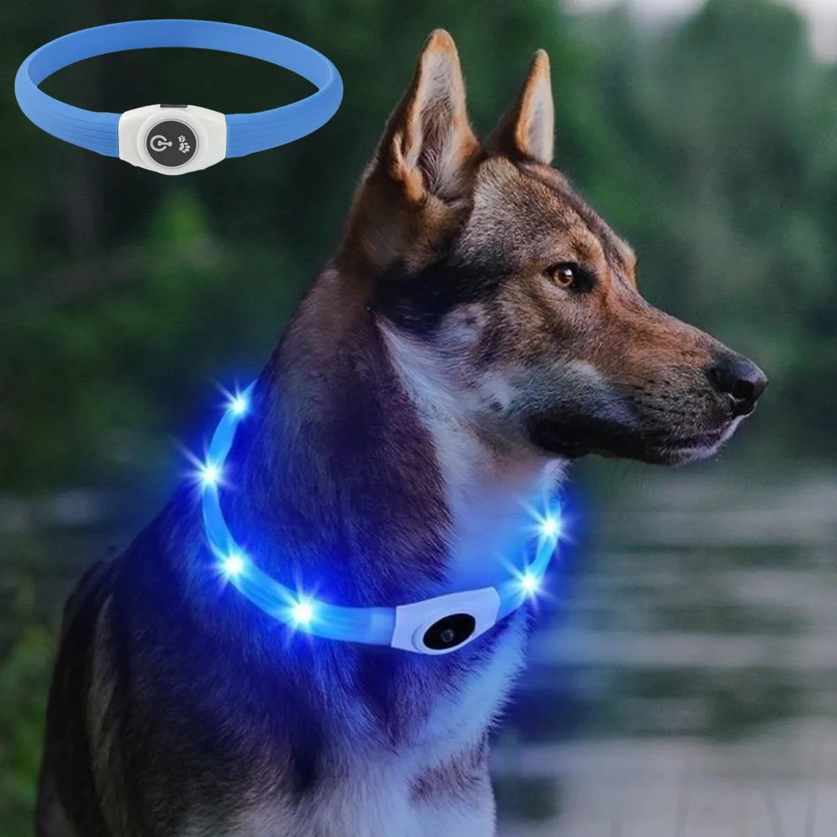 LED leuchtendes wasserdichtes Halsband für Hunde