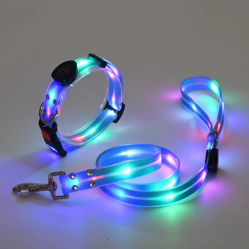 Ein Set aus leuchtenden Halsband und Leine mit einem aufladbaren USB Kabel