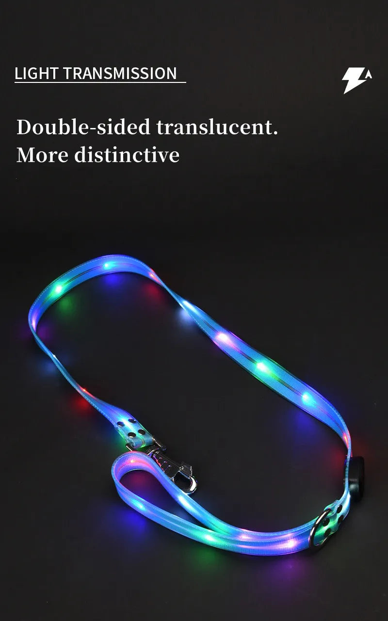 Ein Set aus leuchtenden Halsband und Leine mit einem aufladbaren USB Kabel