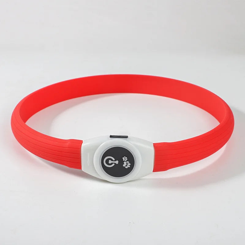 LED leuchtendes wasserdichtes Halsband für Hunde