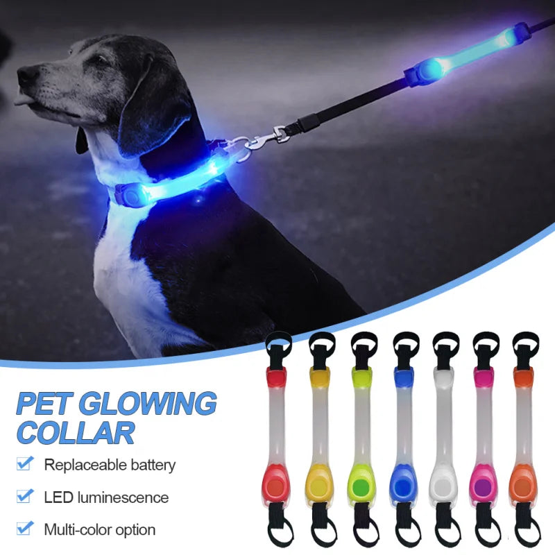 LED leuchtendes Halsband für Hunde