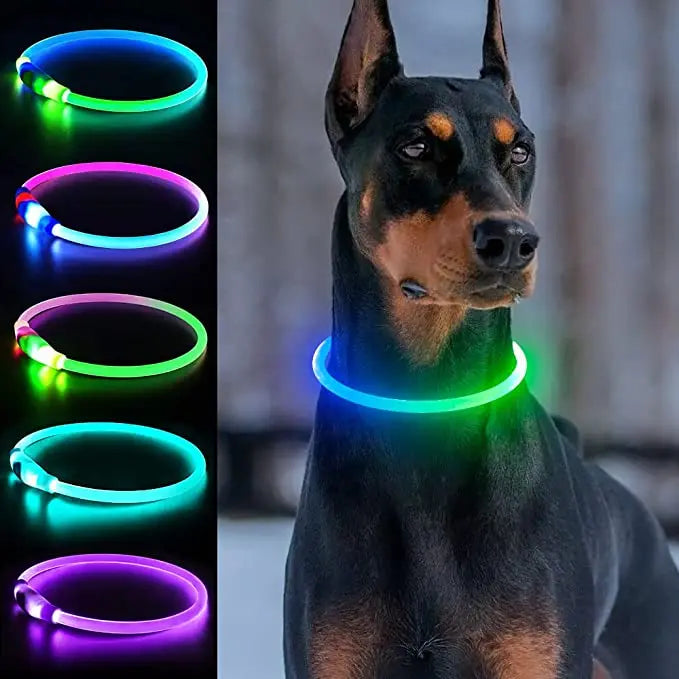 LED leuchtendes wasserdichtes Halsband für Hunde