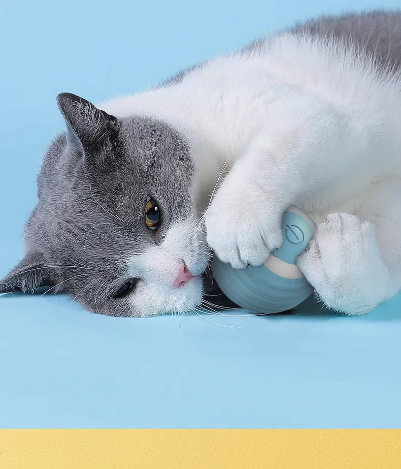 Spin Ball für Katzen Spielzeug elektrische interaktive USB-Aufladung