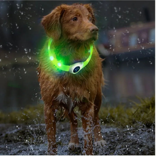 LED leuchtendes wasserdichtes Halsband für Hunde