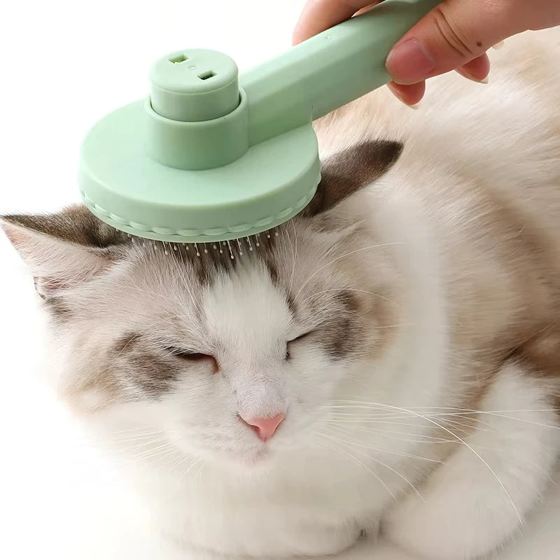 Ein Haarkamm perfekt für Tiere geeignet