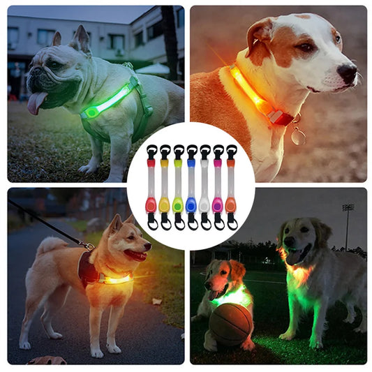 LED leuchtendes Halsband für Hunde